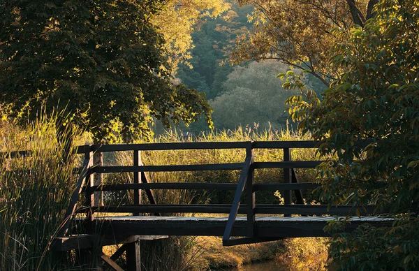 Деревянный мост в природе — стоковое фото