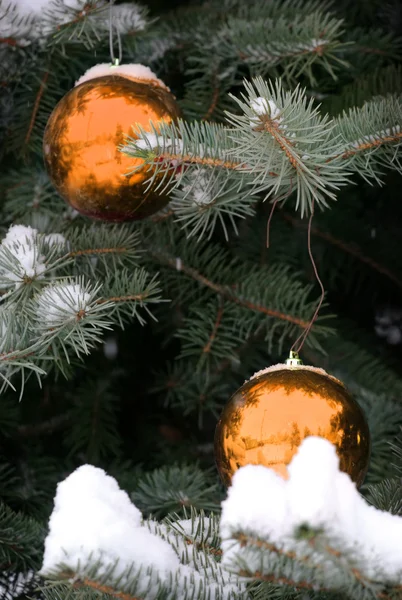 雪が降った松の木の装飾 — ストック写真