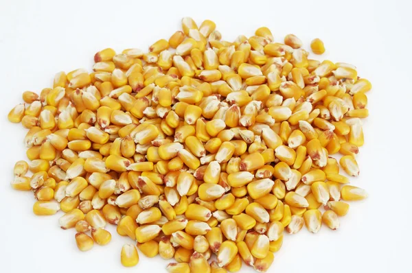 Kernels of Corn 2 — Stock Photo, Image
