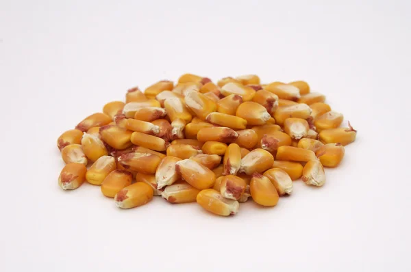 Ervilhas de milho 2 — Fotografia de Stock