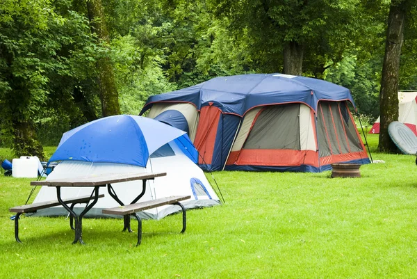 Tent camping — Stockfoto