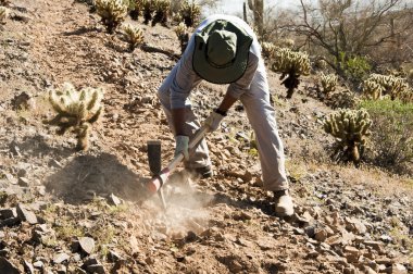 Trail Building clipart