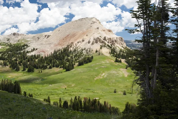 Beartooth Butte — Stock Photo, Image