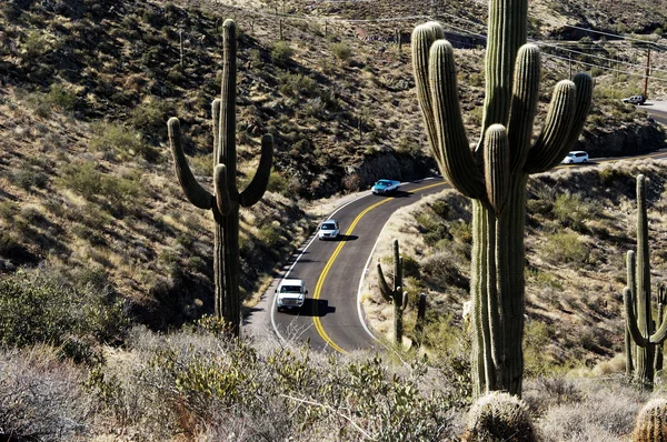 Estrada do deserto — Fotografia de Stock