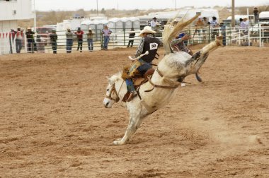 Saddle bronc 1 clipart