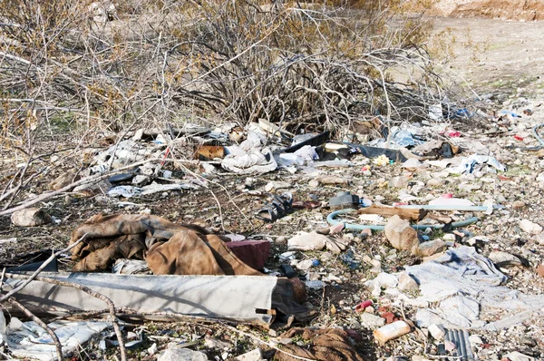 stock image Community park cleanup