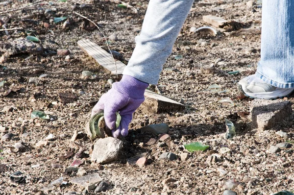 Community park cleanup — Stock Photo, Image