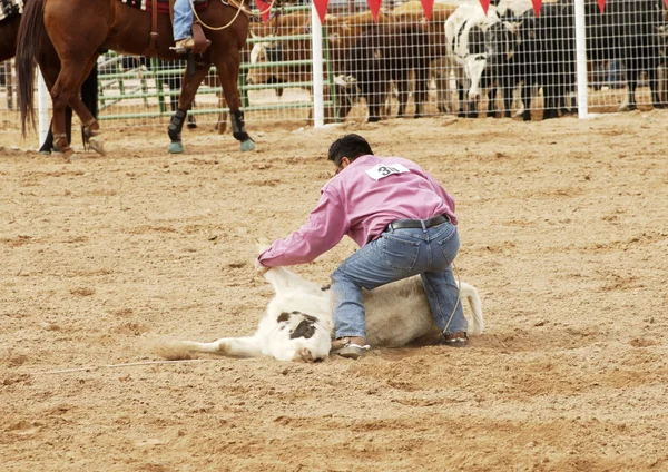 Steer Wrestling 2 — Stock Photo, Image
