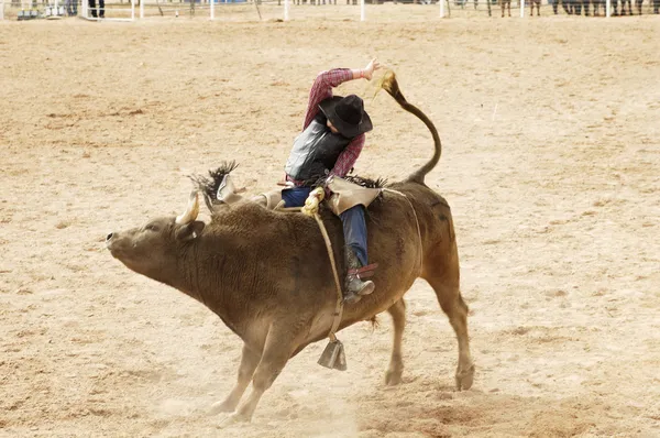 Bull Riding 2 — Stock Photo, Image
