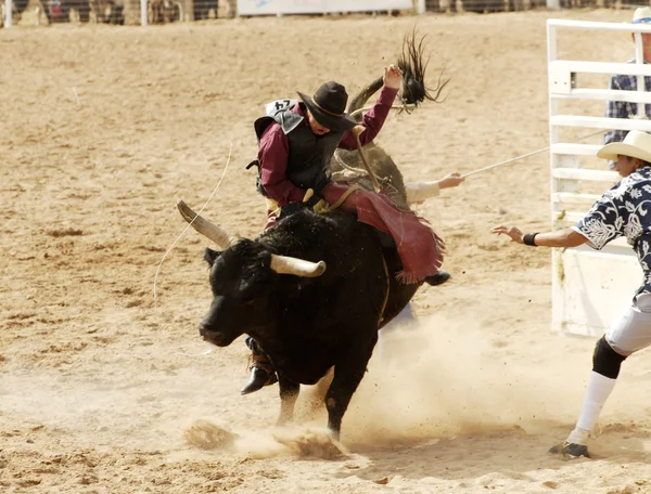 Bull Riding 3 — Stockfoto