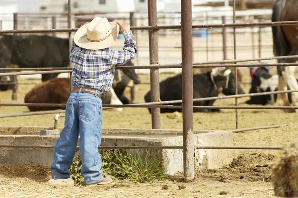 Jonge cowboy — Stockfoto