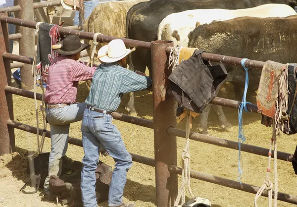 Cowboys — Stock Photo, Image