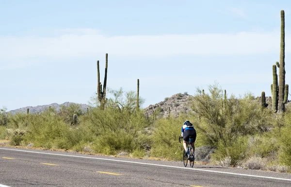 Andar de bicicleta no deserto — Fotografia de Stock