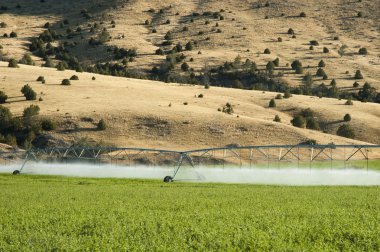 Crop irrigation clipart