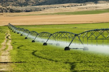 Irrigation system clipart