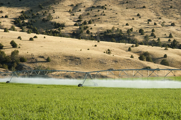 Crop irrigation