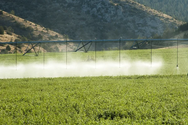 Crop irrigation system — Stock Photo, Image