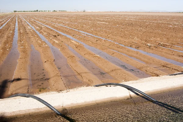 Irrigatie kanaal & sifon buizen Stockfoto