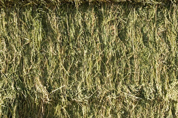 Тюки из сена Стоковое Фото
