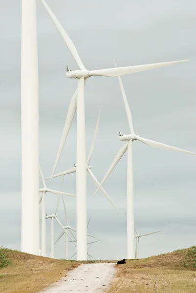 Ветроэнергетика — стоковое фото