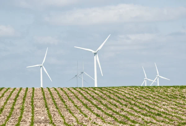 風力エネルギー ロイヤリティフリーのストック写真