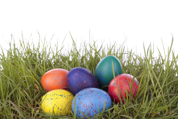 Barevné velikonoční vejce na trávě nad bílá — Stock fotografie