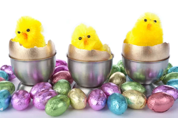 Polluelos de Pascua en tazas de huevo sobre blanco —  Fotos de Stock