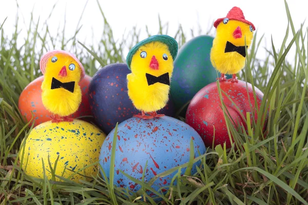 Pollitos de Pascua y huevos en la hierba — Foto de Stock