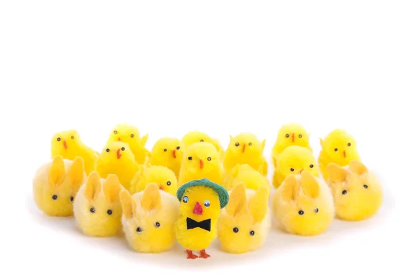 stock image Easter chick eggs over white