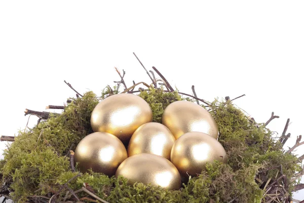 Golden eggs in bird nest over white — Stock Photo, Image