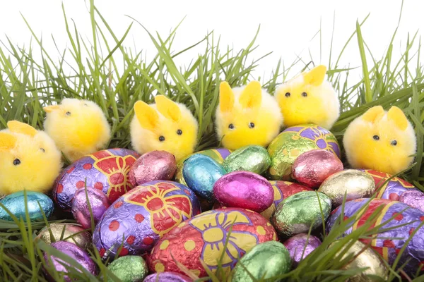 Easter eggs bunnies on grass over white — Stock Photo, Image