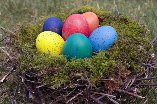 Ovos de Páscoa no ninho de pássaros — Fotografia de Stock