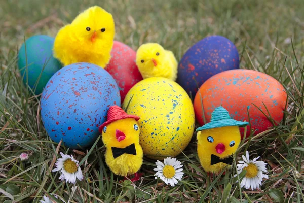 Colored easter eggs and chicks — Stock Photo, Image