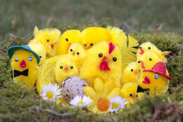 Pollitos de Pascua sobre hierba fondo —  Fotos de Stock