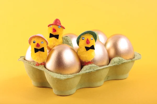 Pasen eieren en kuikens in karton — Stockfoto