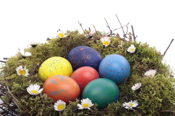 Gekleurde eieren in het nest van de vogel over de witte — Stockfoto
