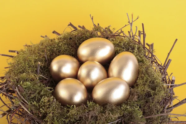Guldägg i fågelbo över gul — Stockfoto