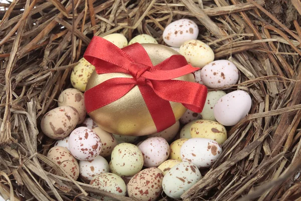 Ovos de Páscoa em ninho de pássaro sobre branco — Fotografia de Stock