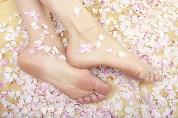 Vrouw voeten en rozenblaadjes — Stockfoto