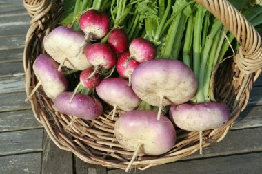 Root vegetables on basket clipart