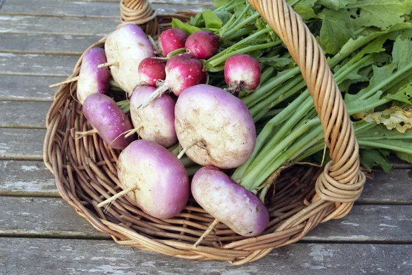 Root vegetables on basket — Stock Photo, Image