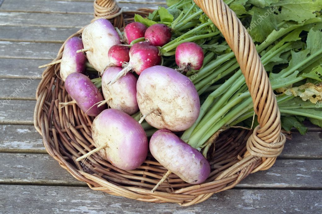 Root vegetables on basket — Stock Photo © Strobos 2870773