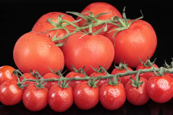 Wiśniowe pomidory na czarno — Zdjęcie stockowe