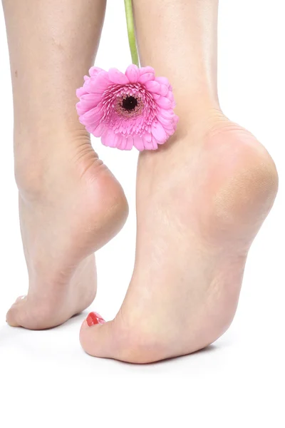 Frau Füße und Beine — Stockfoto