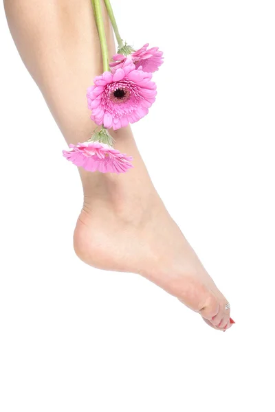 Donna piedi e gambe sopra bianco — Foto Stock
