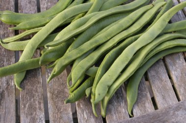 Freshly picked Runner beans clipart