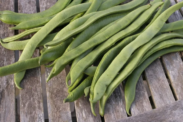 Freshly picked Runner beans — Stock Photo, Image