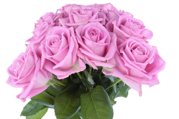 Strauß rosa Rosen über weißem — Stockfoto