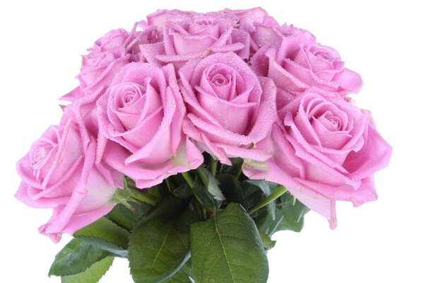 Букет розовых роз над белым
