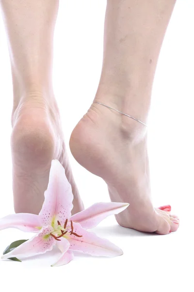 Zenske nohy a květina — Stock fotografie